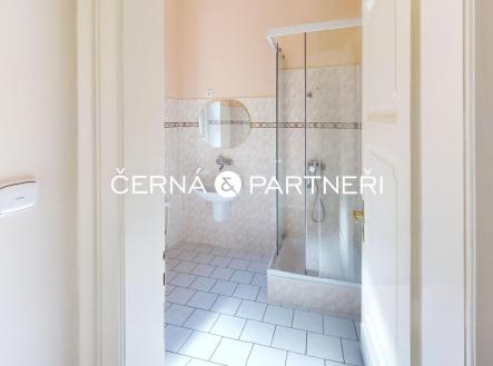 Pronajem-bytu-31-ul-Duchcovska-Teplice-Bathroom_1[1].jpg | Pronájem bytu, 3+1, 90 m²