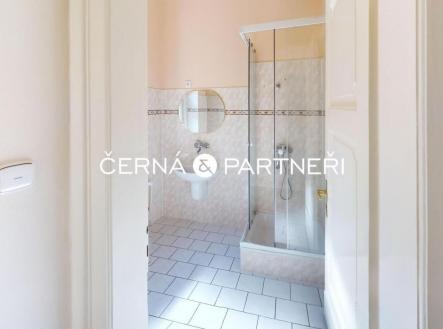 fotografie | Pronájem bytu, 3+1, 90 m²