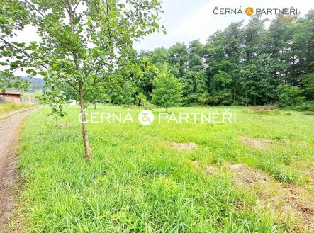 Prodej - pozemek, zahrada, 2 294 m² obrázek