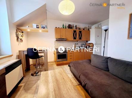 Prodej bytu, 1+1, 46 m² obrázek