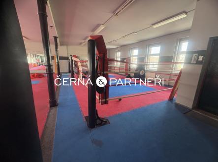 IMG_3202.jpeg | Pronájem - komerční objekt, jiný, 280 m²