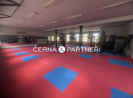 IMG_3199.jpeg | Pronájem - komerční objekt, jiný, 280 m²