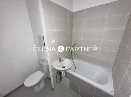 Obrázek WhatsApp, 2024-05-24 v 14.54.11_f7761754.jpg | Prodej bytu, 1+kk, 21 m²