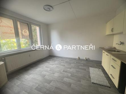 IMG_3255.jpeg | Pronájem bytu, 1+1, 34 m²