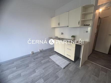 IMG_3257.jpeg | Pronájem bytu, 1+1, 34 m²