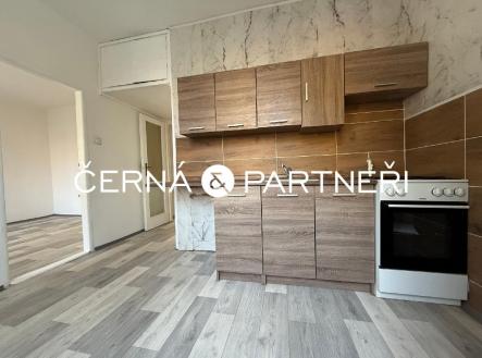 stažený soubor (2).jpg | Pronájem bytu, 2+1, 53 m²