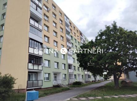 IMG-20250509-WA0023.jpg | Pronájem bytu, 2+kk, 352 m²