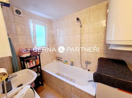 d7ef77e5-8012-4581-a1e1-ae992ff6bb8b.jpg | Pronájem bytu, 2+1, 53 m²