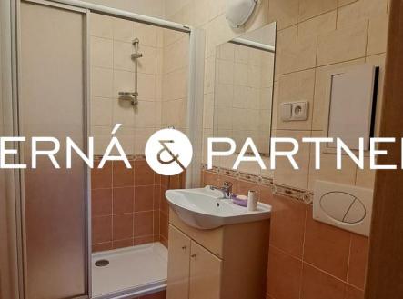 1744091735_NtMKjdyAfv.jpg | Pronájem bytu, 1+1, 37 m²