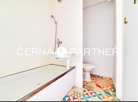 20250728090533-621.jpg | Pronájem bytu, 1+1, 36 m²