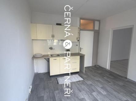 20250728091243-452.jpg | Pronájem bytu, 1+1, 34 m²