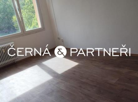 20250728092405-223.jpg | Pronájem bytu, 2+kk, 40 m²