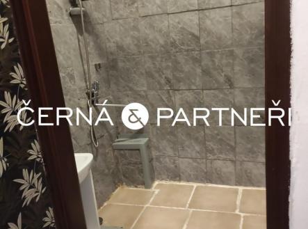 20250728094205-346.jpg | Pronájem bytu, 2+1, 51 m²