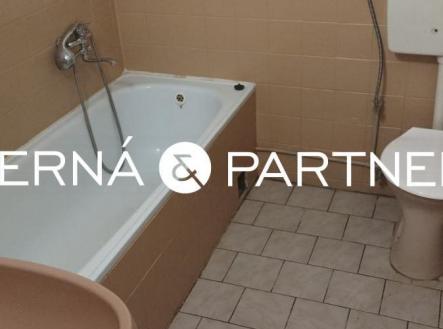 20250729084143-803.jpg | Pronájem bytu, 1+1, 37 m²