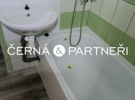 20250729092044-362.jpg | Prodej bytu, 1+kk, 21 m²