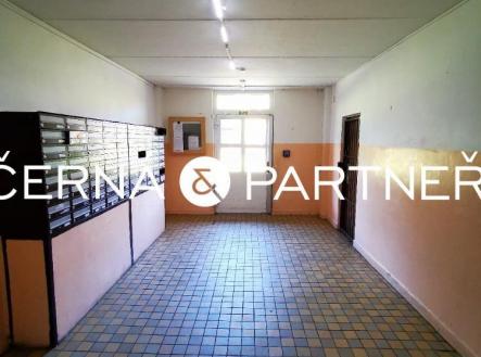 20250729092044-163.jpg | Prodej bytu, 1+kk, 21 m²