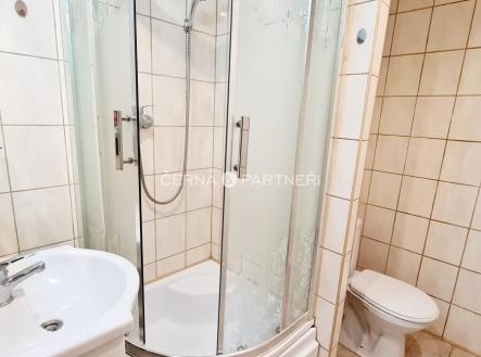 20250801100943-489.jpg | Pronájem bytu, 2+kk, 42 m²