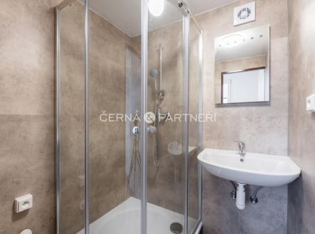 byt-sidl.za-chlumem-789-bilina-14.jpg | Pronájem bytu, 2+1, 65 m²