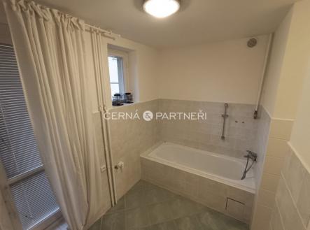 fotografie | Pronájem bytu, 1+1, 47 m²