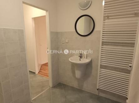 fotografie | Pronájem bytu, 1+1, 47 m²