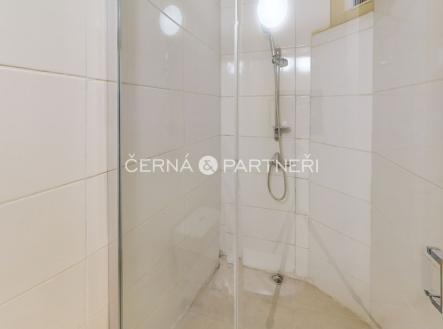 2-1.jpeg | Pronájem bytu, 1+1, 30 m²