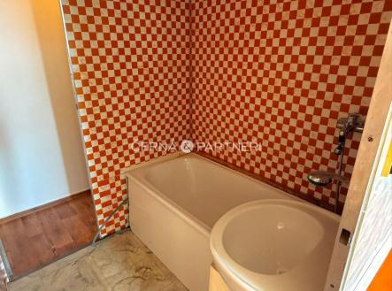 fotografie | Pronájem bytu, 3+1, 54 m²
