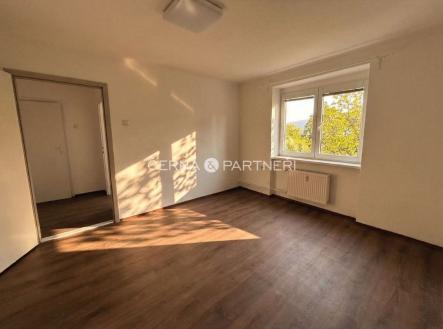 fotografie | Pronájem bytu, 3+1, 58 m²
