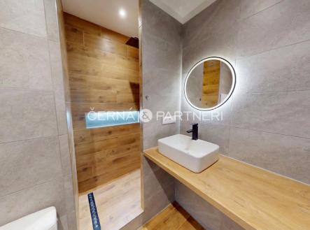 1773655951020-1773412165-75813b11-b798-4ad1-adbe-e301428bdcfe.png | Pronájem bytu, 1+1, 36 m²