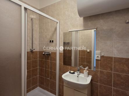 whatsapp-image-2026-03-20-at-19.16.27-2.jpeg | Pronájem bytu, 1+1, 37 m²