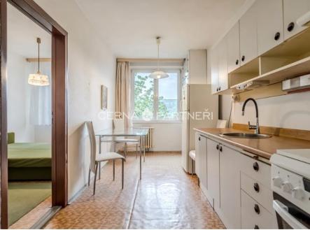 whatsapp-image-2026-03-24-at-16.48.43.jpeg | Pronájem bytu, 4+1, 89 m²