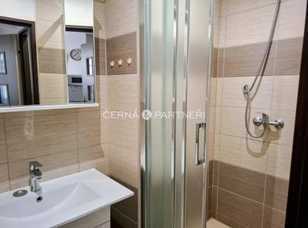 koupelna-garsonka.jpg | Pronájem bytu, 1+kk, 25 m²