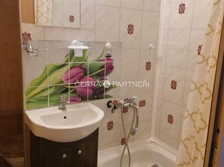 1.jpeg | Pronájem bytu, 1+kk, 31 m²