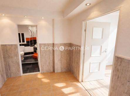 fotografie | Pronájem bytu, 3+1, 68 m²