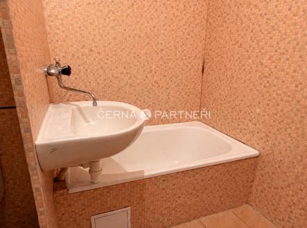 96f99cef-9479-4f8f-947d-529a7288fe52.jpeg | Prodej bytu, 1+1, 31 m²