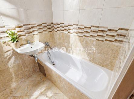 1776844191049-chatgpt-image-22.4.2026-09-00-33.png | Pronájem bytu, 3+1, 60 m²