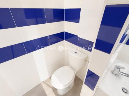 1778655526299-chatgpt-image-12.5.2026-09-24-40.png | Pronájem bytu, 1+1, 38 m²