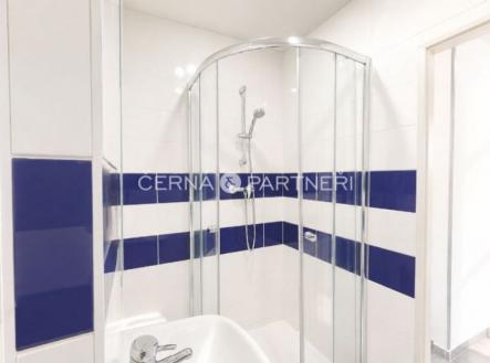 fotografie | Pronájem bytu, 1+1, 38 m²