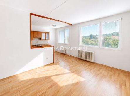 fotografie | Pronájem bytu, 4+1, 70 m²