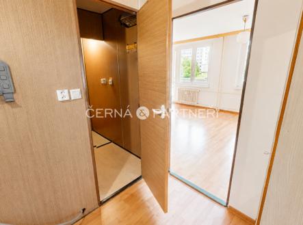 1778828366556-chatgpt-image-15.5.2026-08-53-58.png | Pronájem bytu, 1+kk, 32 m²