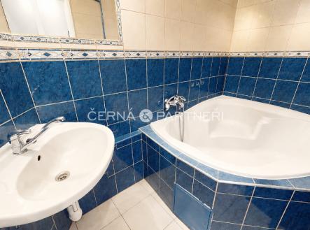 1779096197218-chatgpt-image-18.5.2026-11-15-17.png | Pronájem bytu, 2+1, 7 503 m²