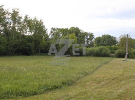 IMG_2675.JPG | Prodej - pozemek pro bydlení, 4 961 m²