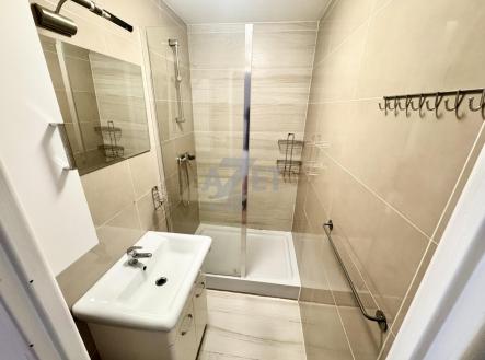 IMG_2045.jpg | Pronájem bytu, 1+kk, 29 m²