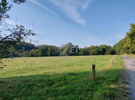 20240903_084418.jpg | Prodej - pozemek, zemědělská půda, 25,1 m²