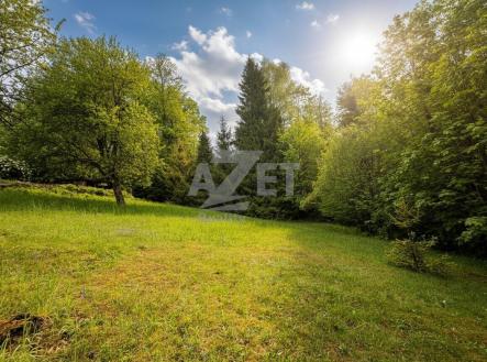 4.jpg | Prodej - pozemek pro bydlení, 2 937 m²