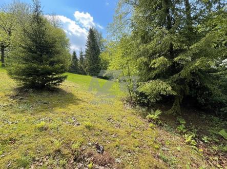 3.jpg | Prodej - pozemek pro bydlení, 2 937 m²