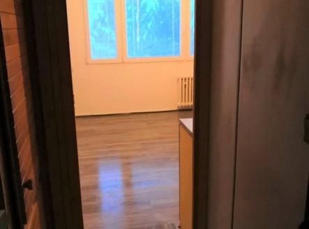131673808_756811991847069_2430954939952877737_n.jpg | Pronájem bytu, 1+kk, 22 m²
