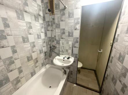 IMG_0891.jpg | Pronájem bytu, 1+kk, 22 m²