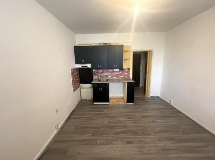 IMG_0889.jpg | Pronájem bytu, 1+kk, 22 m²
