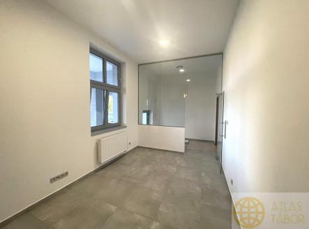 IMG_9528.jpg | Pronájem bytu, 1+kk, 23 m²