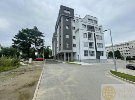 IMG_8564.jpg | Pronájem bytu, 1+1, 37 m²